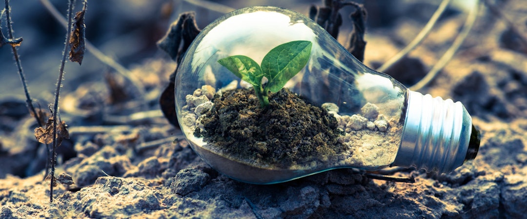 wat valt onder milieurecht.jpg