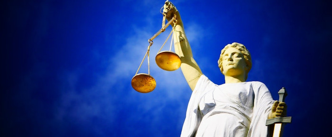 rechtsgebieden in Nederland