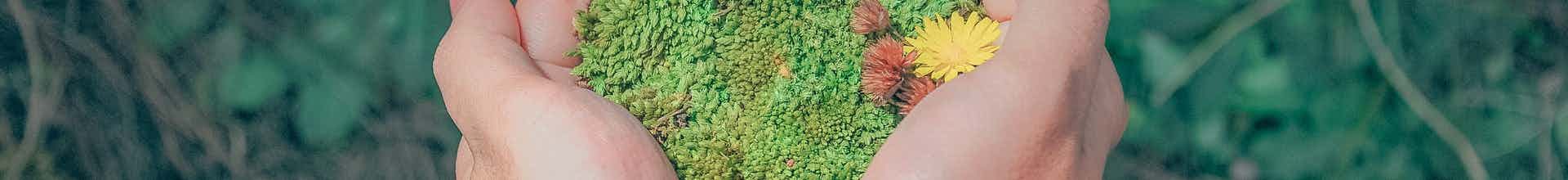 milieurecht advocaat zoeken