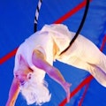 acrobatiek act huren bedrijfsfeest