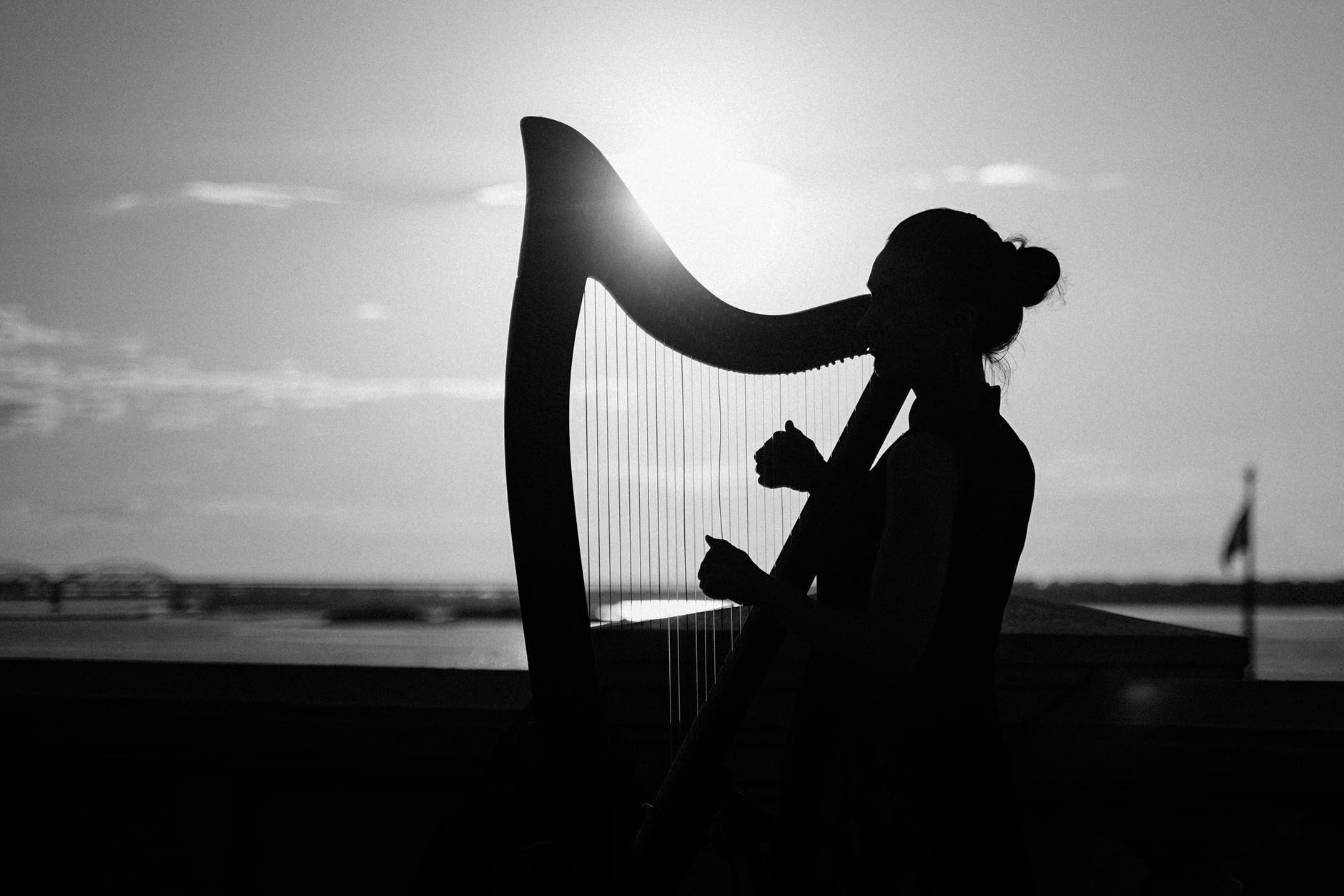 De Harp