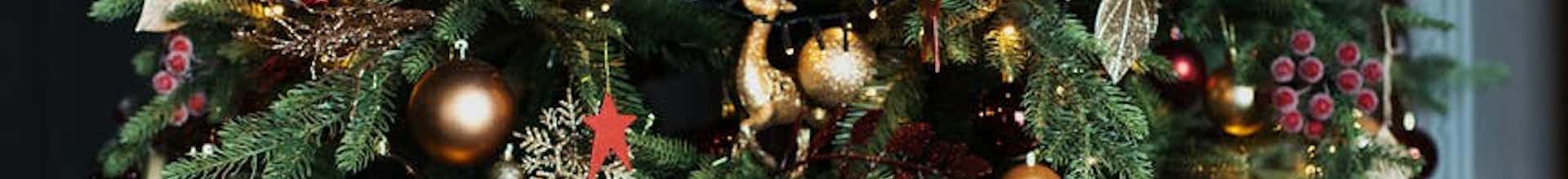 Boka en jultomte, pepparkaksgubbe eller lucia till ditt företagsevent eller din släktfest!