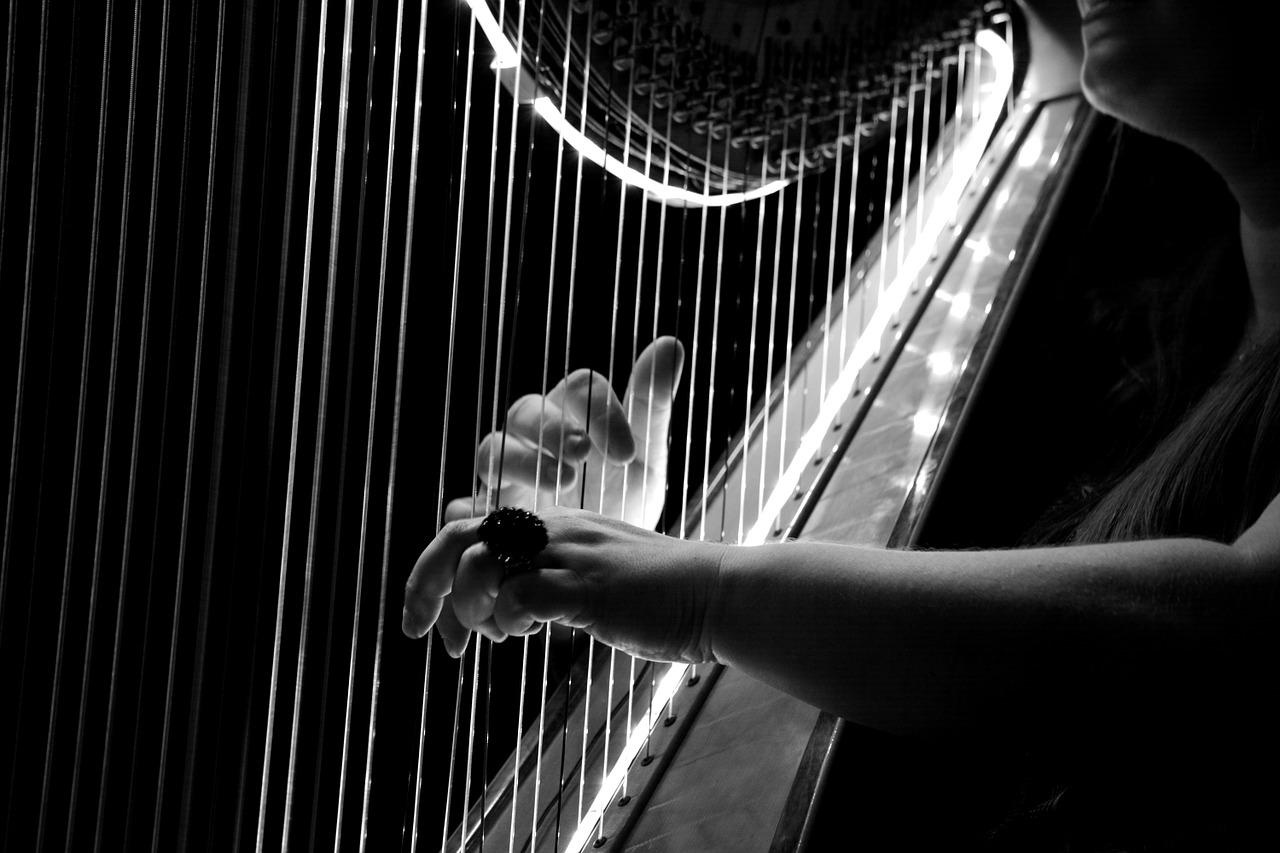 concert harp.jpg